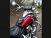 (S) KAWASAKI VULCAN EN 500 VN 800 LEATHER TANK Cover Pad Strap Panel Bra Bib